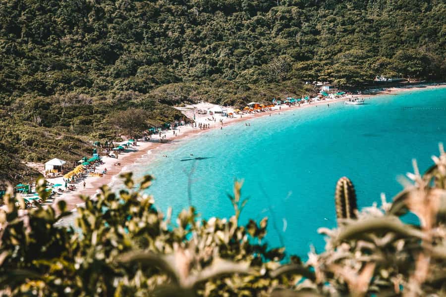 From Rio de Janeiro: Arraial do Cabo Island Day Trip - Guides can make or break the day