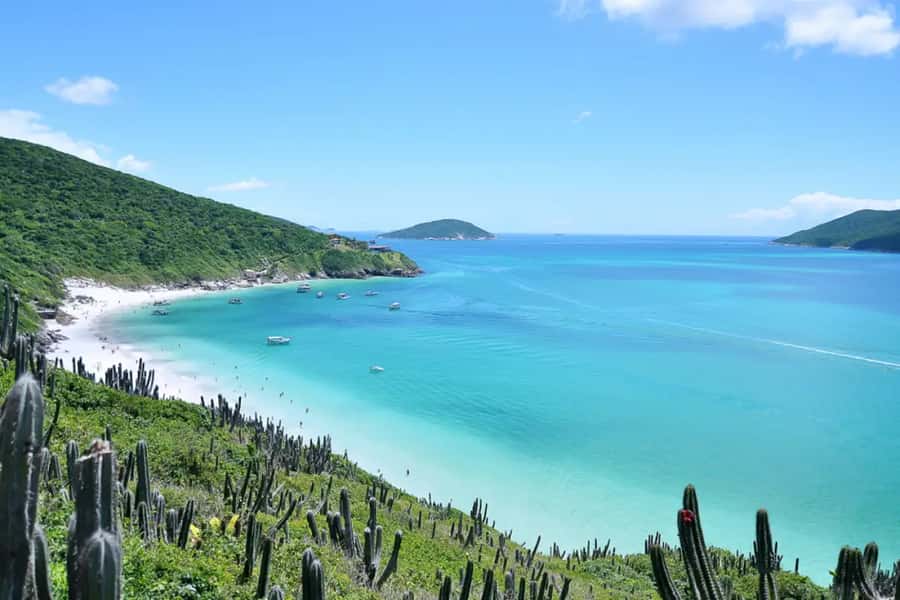 From Rio de Janeiro: Arraial do Cabo Island Day Trip - Pickup in Rio and the long road to the coast