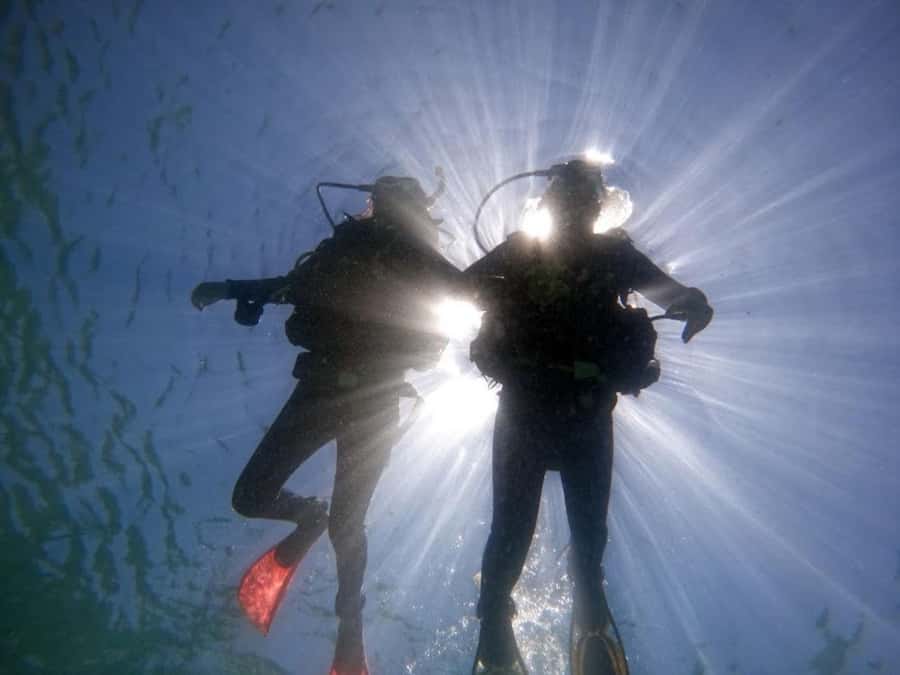 from Rio de Janeiro: Diving in Buzios - What the 45 to 60-minute underwater session is like