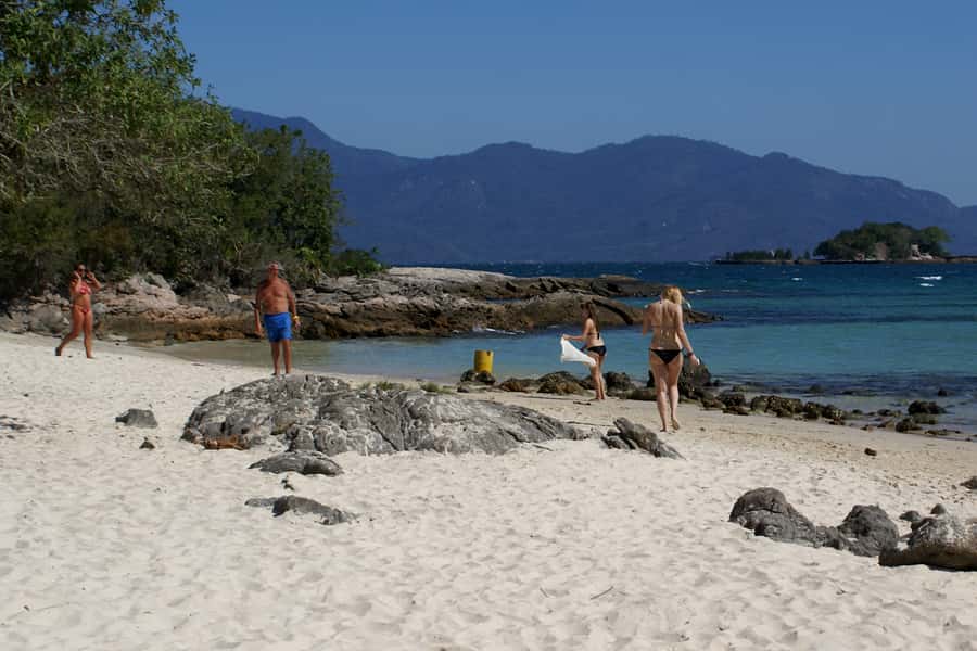 From Rio: Full-Day Angra dos Reis Cruise & Island Tour - Wildlife along the forested coast