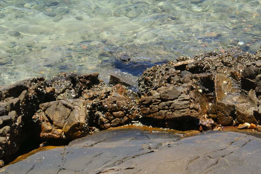 From Rio: Full-Day Angra dos Reis Cruise & Island Tour - A practical way to prepare