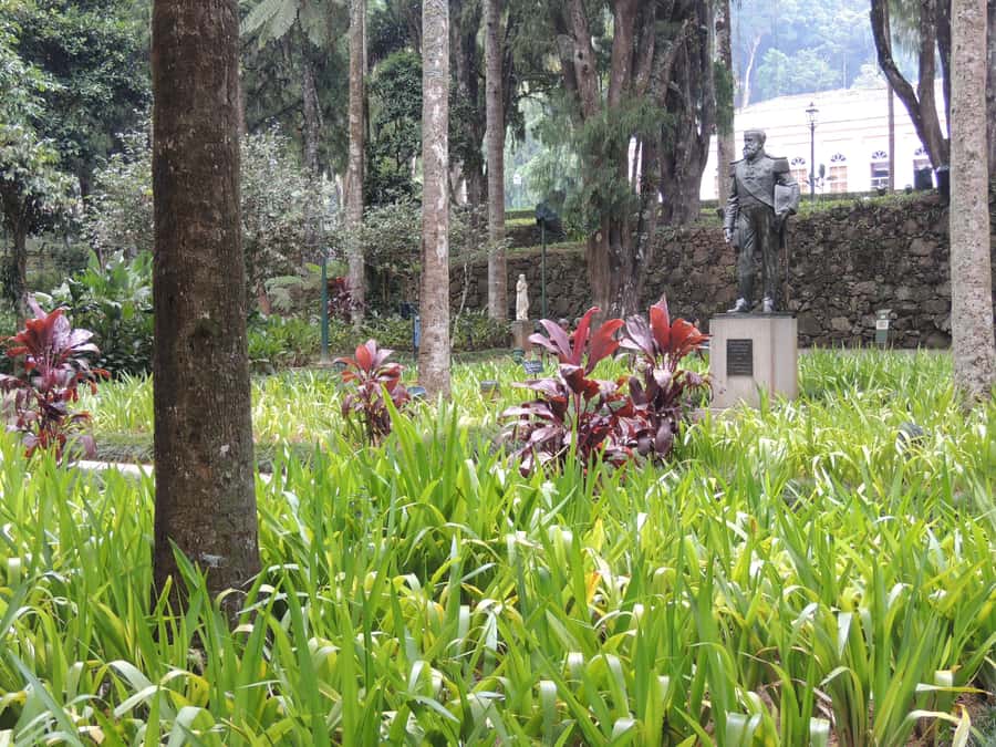 From Rio: Full-Day Tour to The Imperial City of Petrópolis - Practical advice for a smoother day