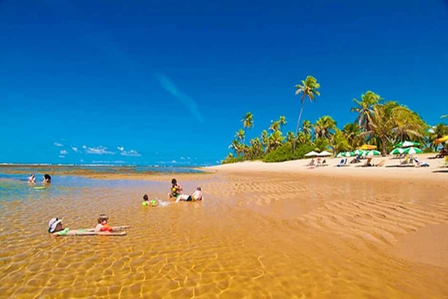 From Salvador: Praia do Forte & Guarajuba Beach Daytrip - Why this north-coast outing works well from Salvador