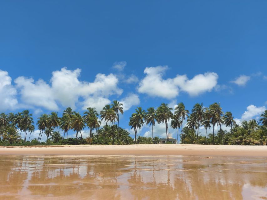 From Salvador: Praia do Forte & Guarajuba Beach Daytrip - Guarajuba Beach and lunch beside the water