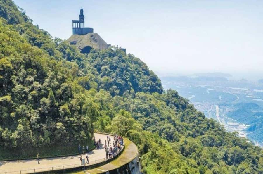 From São Paulo: Private Tour of Atlantic Forest & Valleys - A forest day just outside São Paulo