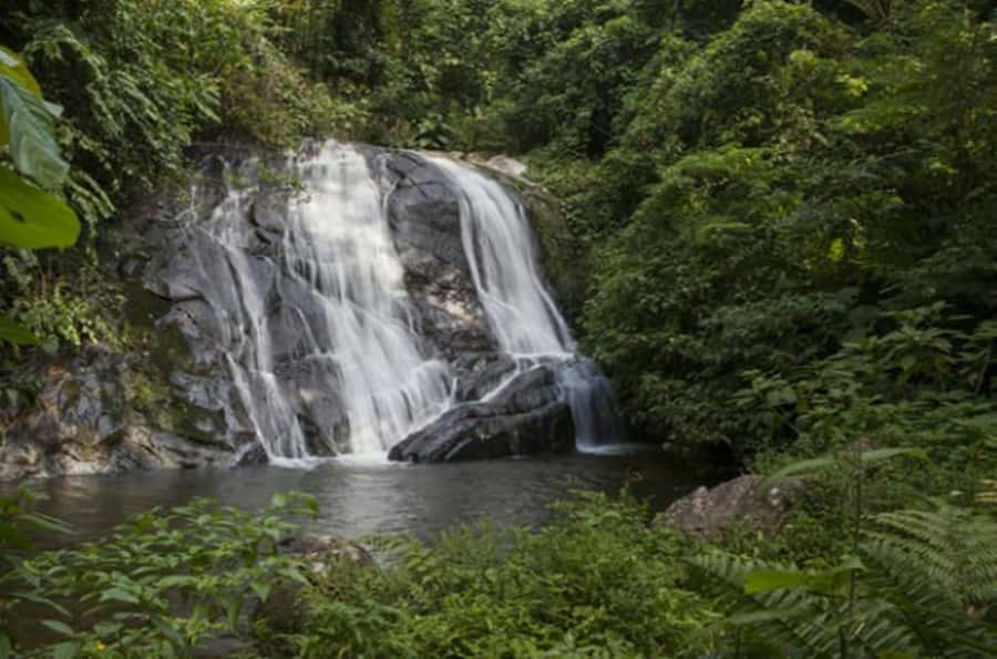 From São Paulo: Private Tour of Atlantic Forest & Valleys - The view toward São Vicente and Santos Bay