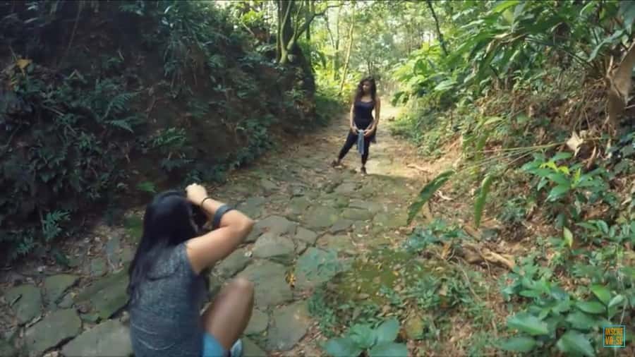 From São Paulo: Private Tour of Atlantic Forest & Valleys - What the private format changes