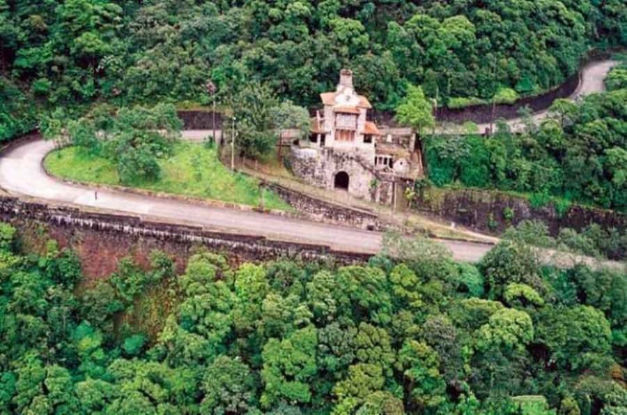 From São Paulo: Private Tour of Atlantic Forest & Valleys - What the $333 price gets you