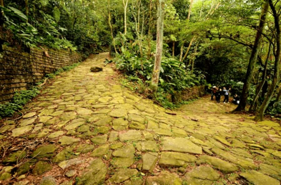 From São Paulo: Private Tour of Atlantic Forest & Valleys - Language, timing, and physical demands