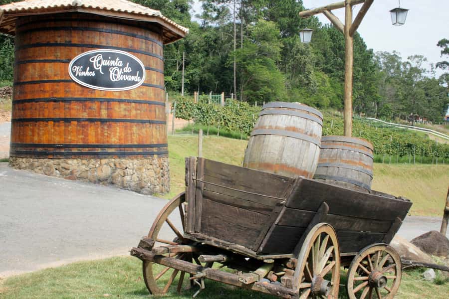 From São Paulo: São Roque Wineries Route and Tasting of Wine - Key points to know before booking