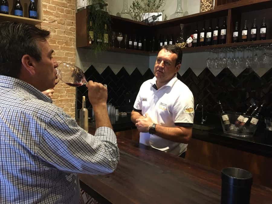 From São Paulo: São Roque Wineries Route and Tasting of Wine - Why São Roque makes a good wine escape
