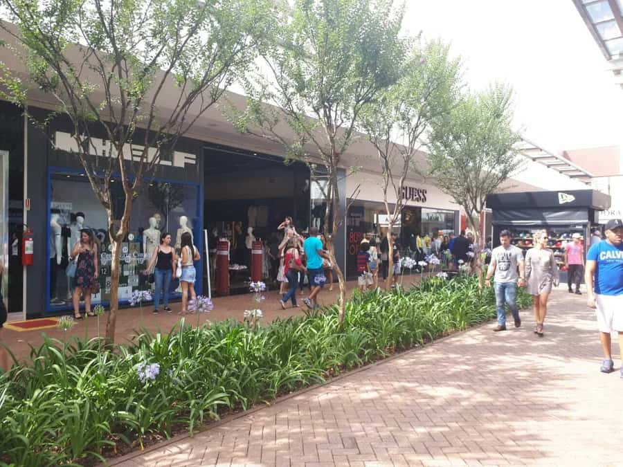 From São Paulo: São Roque Wineries Route and Tasting of Wine - What the tastings are really worth