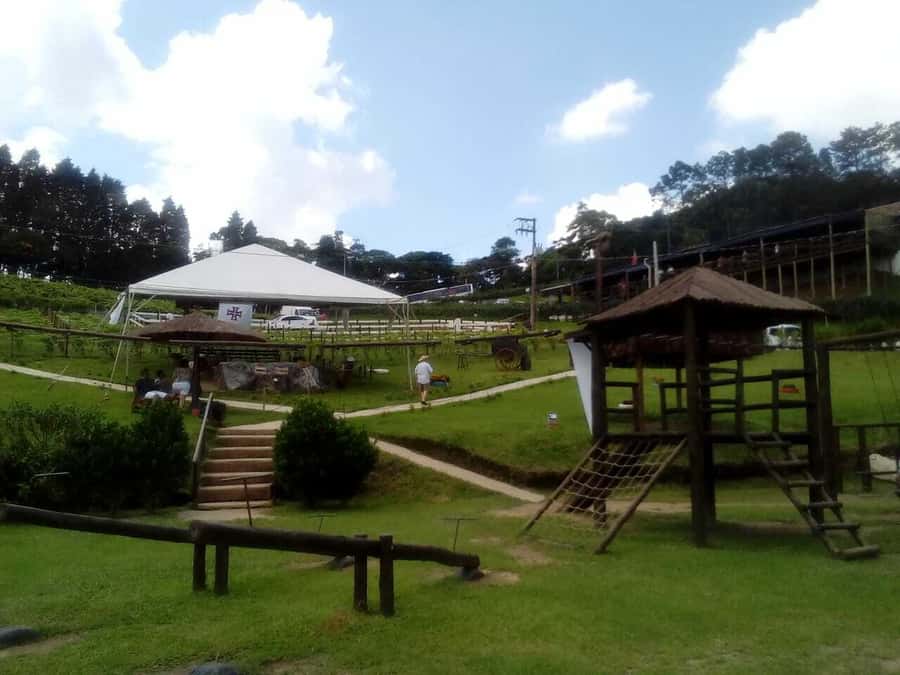From São Paulo: São Roque Wineries Route and Tasting of Wine - Regional foods beyond the bottle