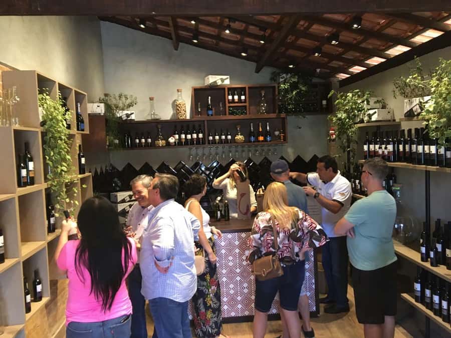 From São Paulo: São Roque Wineries Route and Tasting of Wine - The Cacau Show factory stop