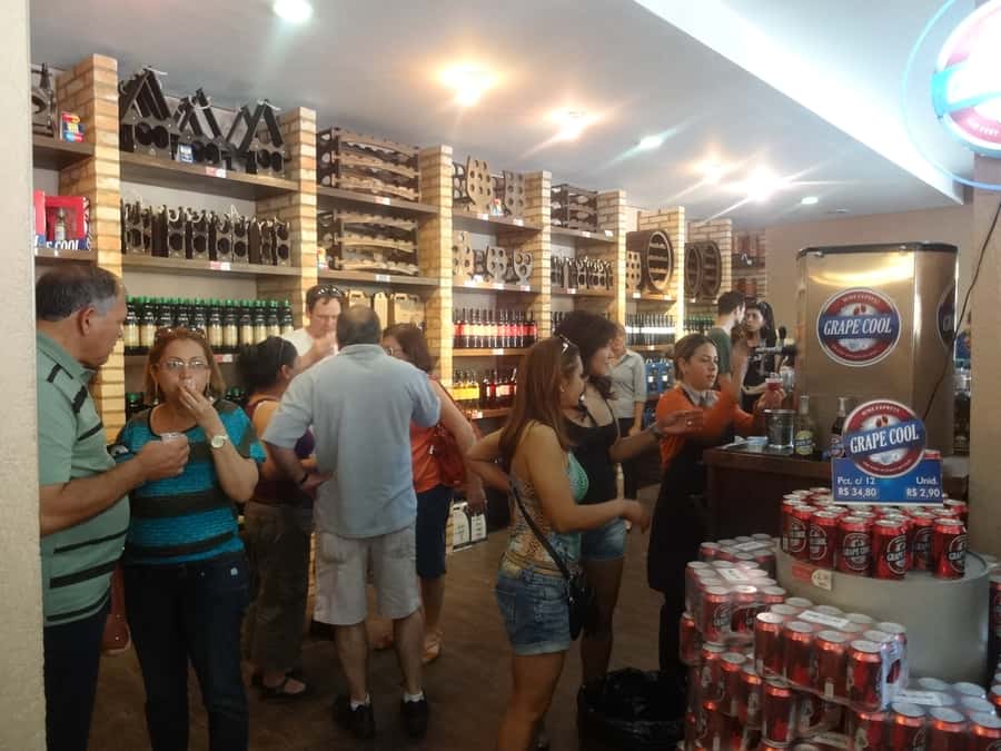 From São Paulo: São Roque Wineries Route and Tasting of Wine - Guides and group size make a difference