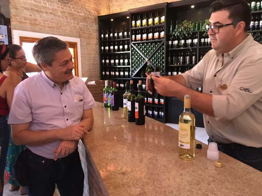From São Paulo: São Roque Wineries Route and Tasting of Wine - The morning ride from São Paulo
