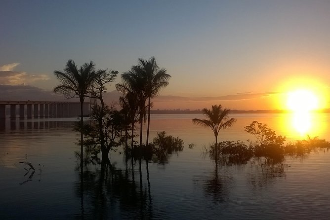 Full Day Amazon River Experience with Night Boat Tour - From Manaus hotels to the Meeting of Waters