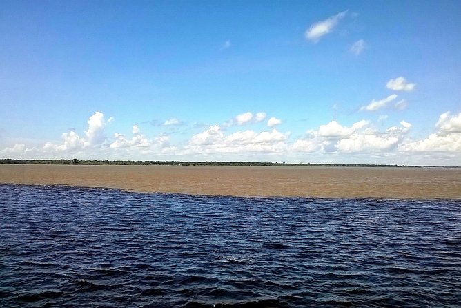 Full Day Amazon River Experience with Night Boat Tour - Janauari’s lily pads, wooden walkways, and riverside lunch