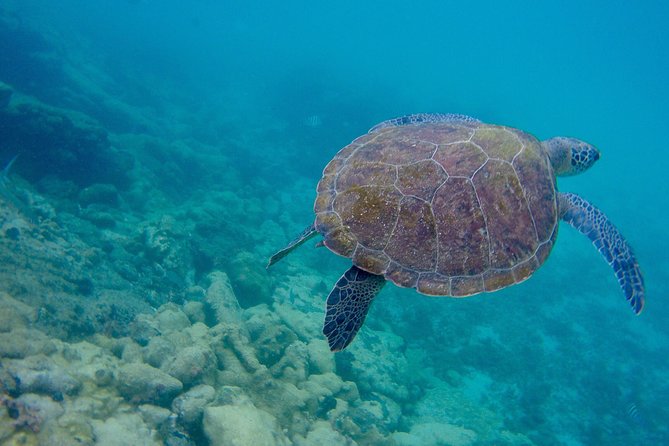 Full Day Around the Island of Ilha Grande and Its Beaches - Why This Tour Works for a Full Day on Ilha Grande