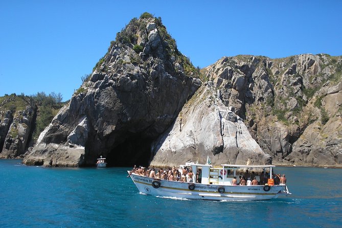 Full-Day Arraial do Cabo Tour with Lunch from Rio de Janeiro - The Santa Image and Gorilla Profile Rock