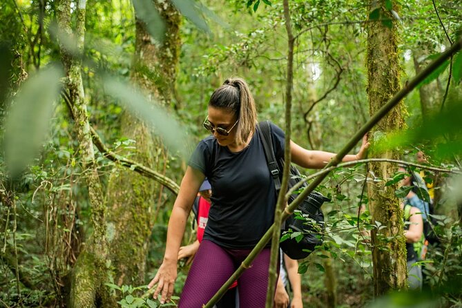 Full Day Hike through Secret Waterfalls in Foz do Iguaçu - Afternoon trails: four more routes and river time