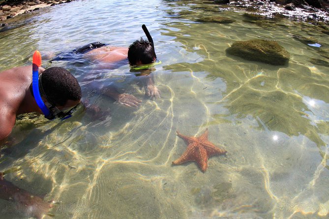 Full-Day Ilha Grande Northern Coast Speedboat Tour - Key points to know before you go