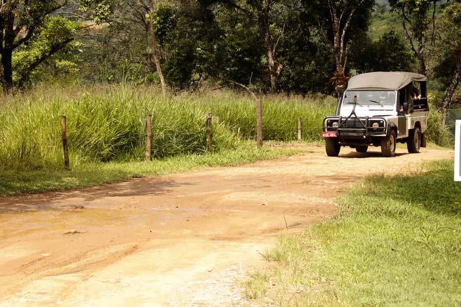Full-Day Jungle Jeep Waterfall and Cachaça Distillery Tour - Key points to know before you go