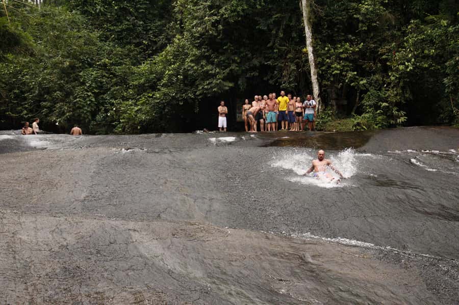 Full-Day Jungle Jeep Waterfall and Cachaça Distillery Tour - Bamboo, bromeliads, and the Jequitibá tree