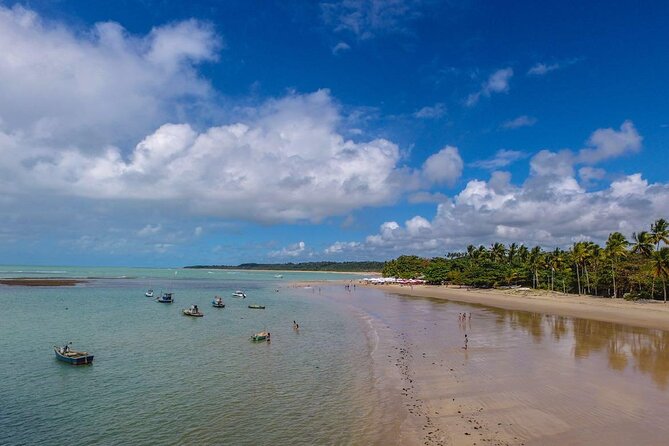 Full Day Tour in Trancoso with Chocolate Factory - Quadrado, Trancoso’s leafy central square