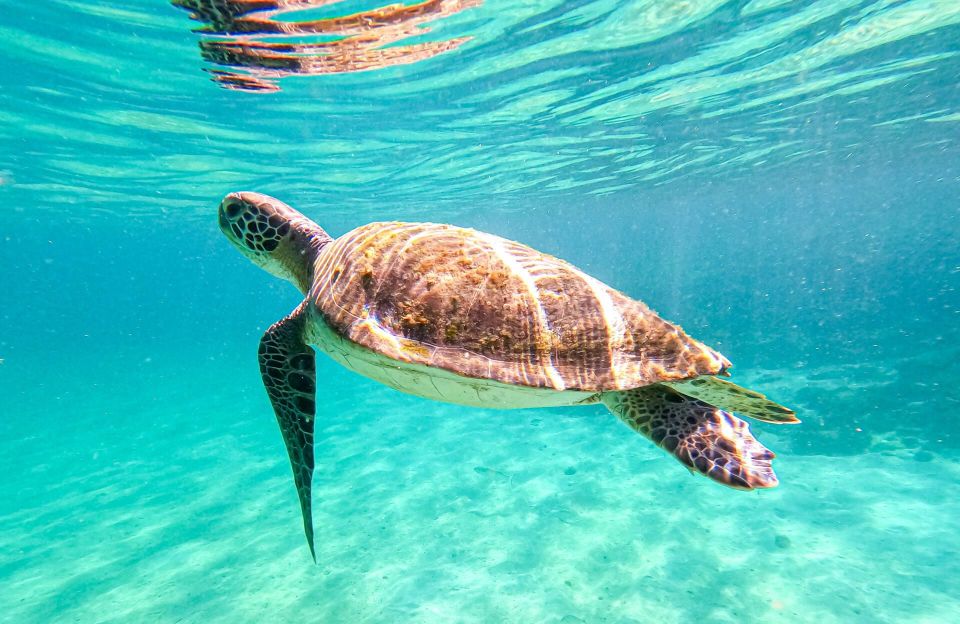Full-Day Tour to Angra dos Reis and Ilha Grande - Who Will Enjoy This Angra Boat Tour Most?