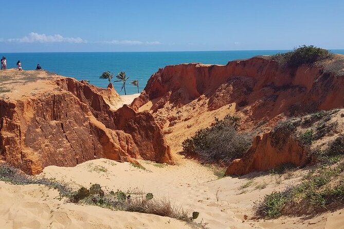 Full Day Tour to the Beaches of Ceará - Transport, group size, and the language reality
