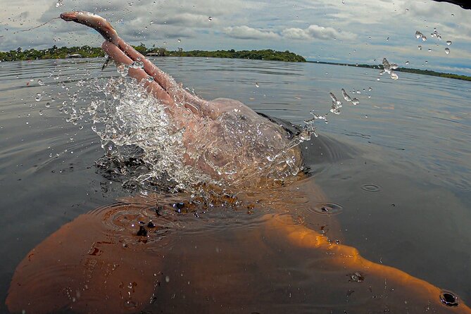 Full Day Trip of Amazon with Lunch - The one-hour drive across the Rio Negro Bridge