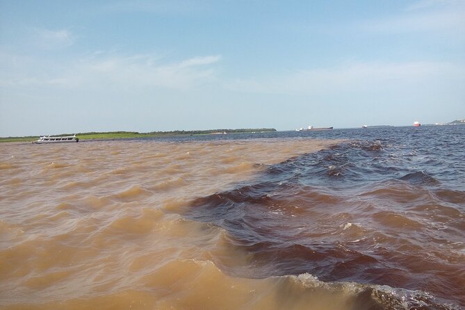 Full Day Trip of Amazon with Lunch - Tambaqui lunch at a floating restaurant