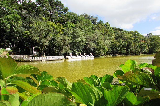 German Origins – Nova Petrópolis Tour - Why Nova Petrópolis makes a good day trip