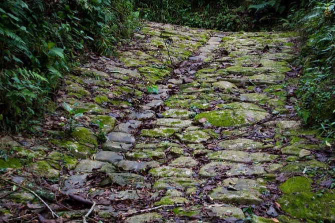 Gold trail adventure cultural hike BY PARATY TOURS - Walking the 3.6-kilometer Gold Path