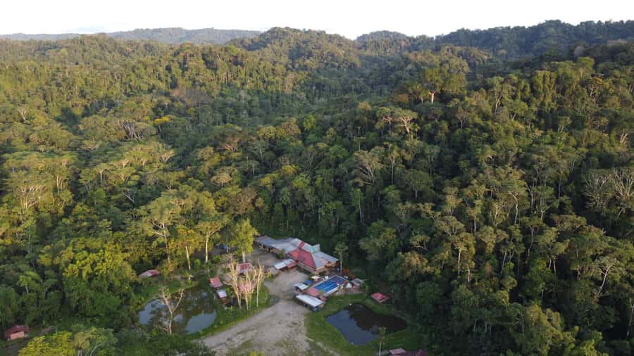 Grand Selva Tours 3 Day Jungle Expedition Ecuador all incl - Five things to know before you book