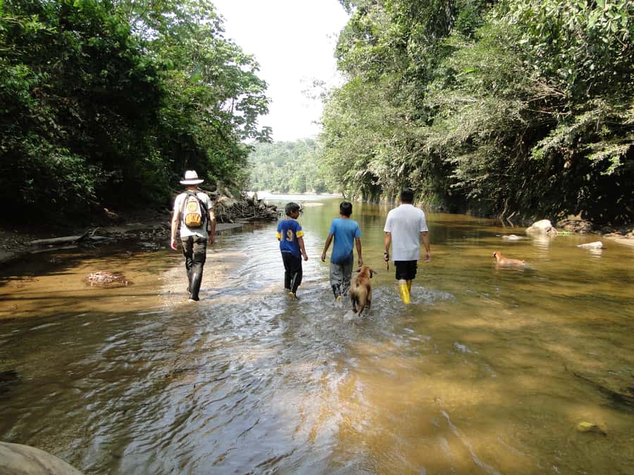 Grand Selva Tours 3 Day Jungle Expedition Ecuador all incl - The final morning and what to pack