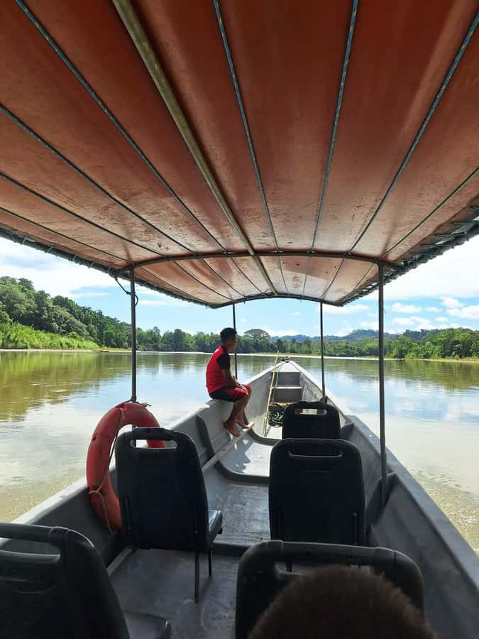 Grand Selva Tours 3 Day Jungle Expedition Ecuador all incl - Amazoonico, a rescue center with a purpose