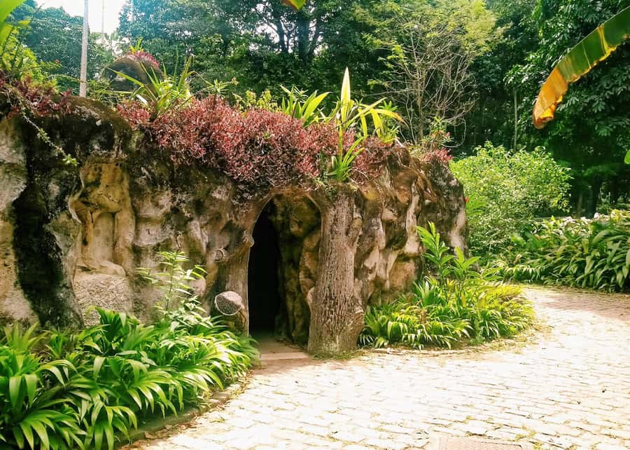 Green Rio: Guided Tour of Botanical Garden and Lage Park - Why this pairing works so well
