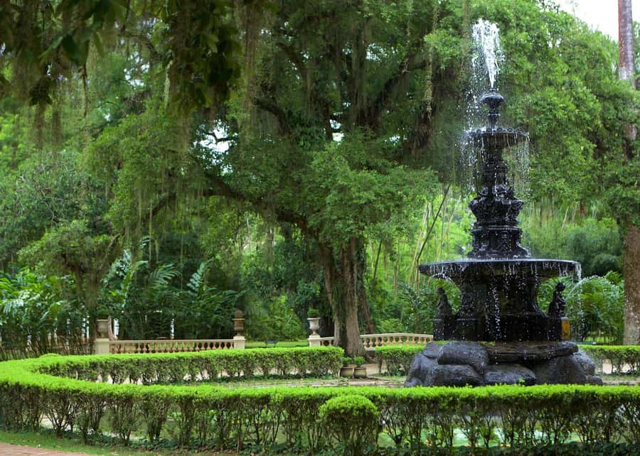 Green Rio: Guided Tour of Botanical Garden and Lage Park - Orchids, bromeliads, palms, and quiet water