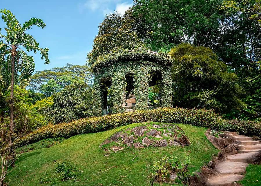 Green Rio: Guided Tour of Botanical Garden and Lage Park - Guides, languages, and the group experience