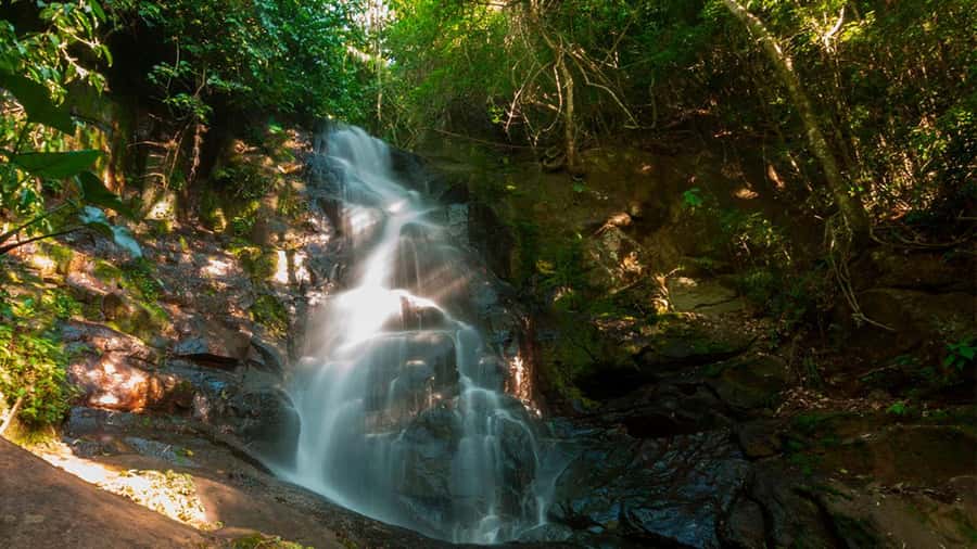 Guided Hike and Kayak or SUP River Tour w/ Transfer - Is $90 a fair price?
