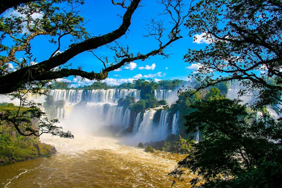 Guided Tour: Brazilian Falls and Bird Park - Key points at a glance