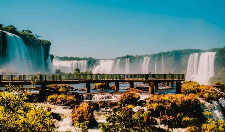 Guided Tour: Brazilian Falls and Bird Park - Practical advice before you go