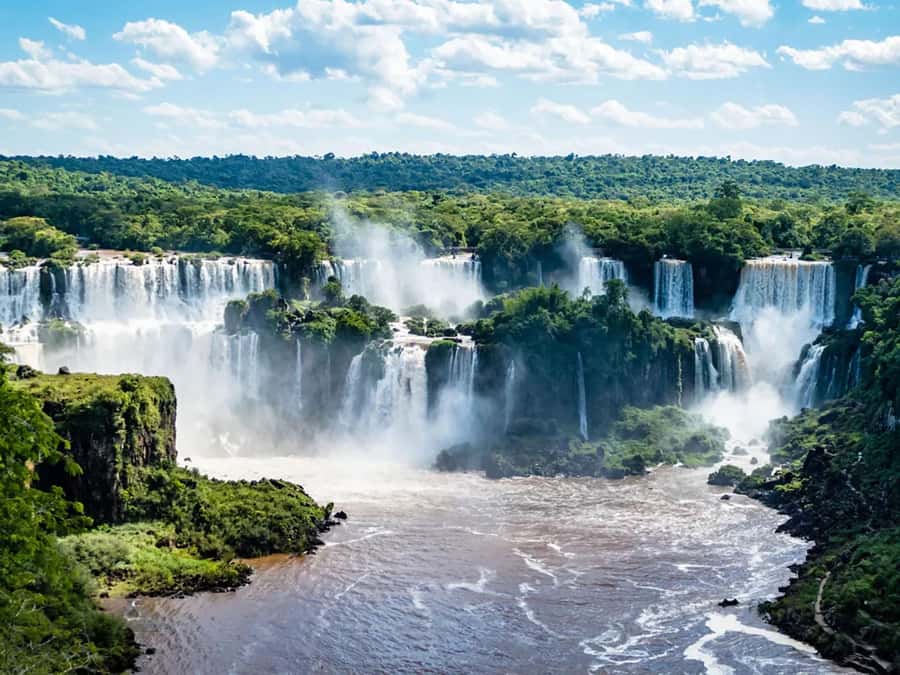 Guided Tour: Brazilian Falls and Bird Park - Why this pairing works so well
