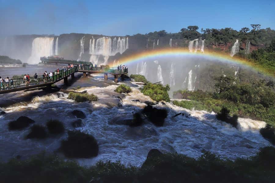Guided Tour: Brazilian Falls and Bird Park - The guide can make the day much better