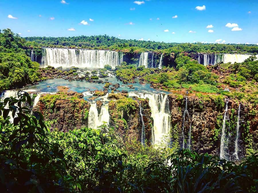 Guided Tour: Brazilian Falls and Bird Park - Starting from Foz do Iguaçu