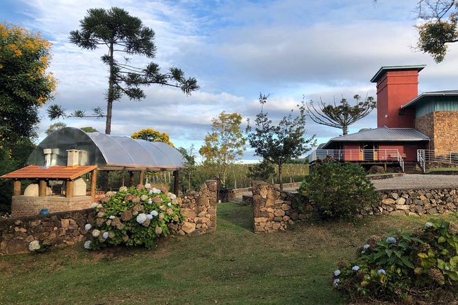 Guided Tour with Wine Tasting at Casa Seganfredo - Gramado - Key points before you book