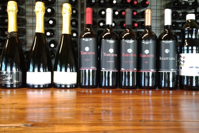 Guided Tour with Wine Tasting at Casa Seganfredo - Gramado - Who should book this Gramado wine tour?