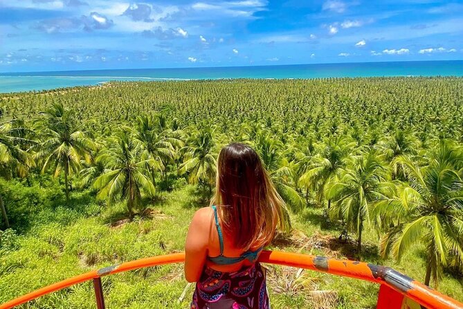 Gunga Beach Private Tour - Six hours, with comfort instead of a packed schedule